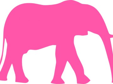 Over roze olifanten en lijken in de kast