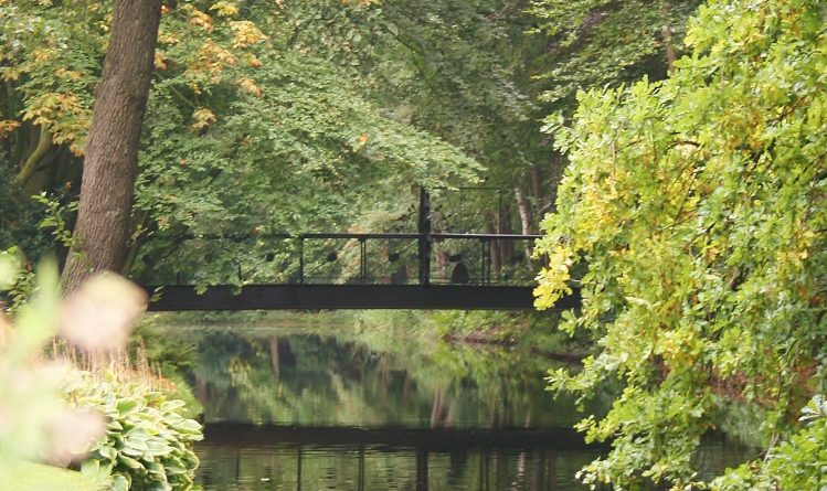 Foto-Groen park- brug-Merlijn Groep