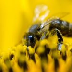 Blog - Merlijn Groep