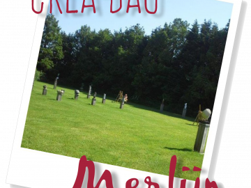 Beelden - Crea-dag - Merlijn Groep