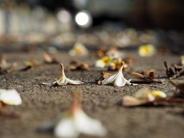 Pesten op de werkvloer - Blogbericht - Merlijn Groep