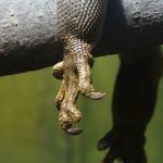 10 tips om je conflict in de klauwen te houden - Blog - Merlijn Groep