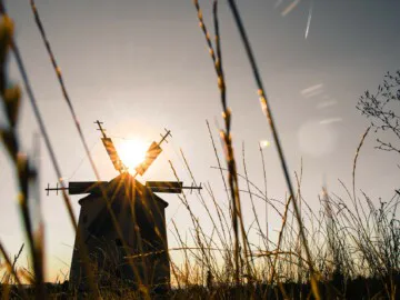 Overheidstrends Nederland - Trainingen Merlijn Groep