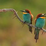 Transformatieve mediation - Merlijn Groep