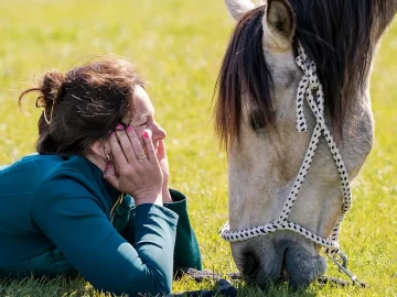 Intervisie; hoe een paard de mediator de regie teruggaf