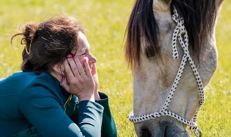 Intervisie; hoe een paard de mediator de regie teruggaf